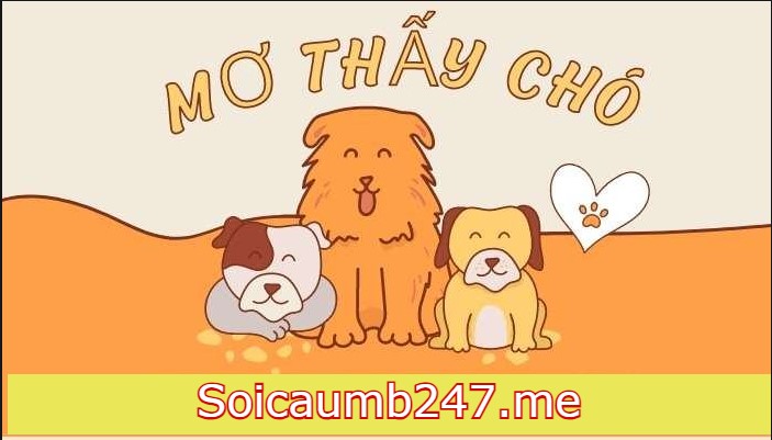 Giấc mơ về chó