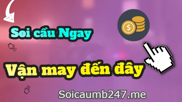 Soi lô vip