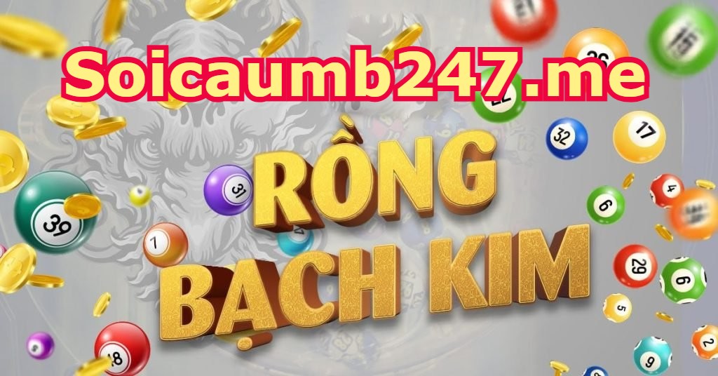 Rồng bạch kim bạc nhớ