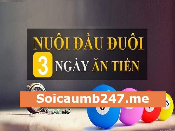 Mẹ0 bắt đầu đuổi giải đặc biệt khung 3 ngày