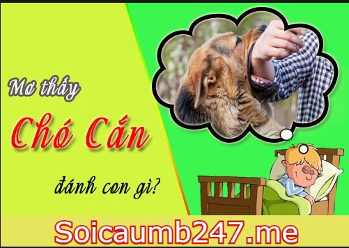 Mơ thấy bị cho cắn