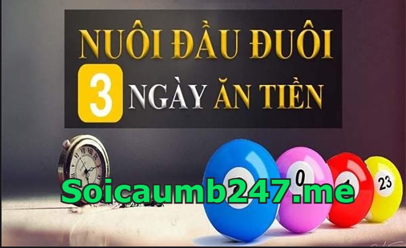 Vào tiền nuôi đầu đuôi khung 3 ngày