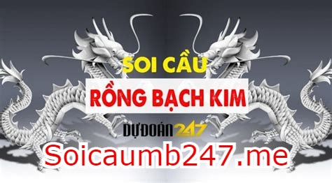 Soi cầu rong bach kim 666