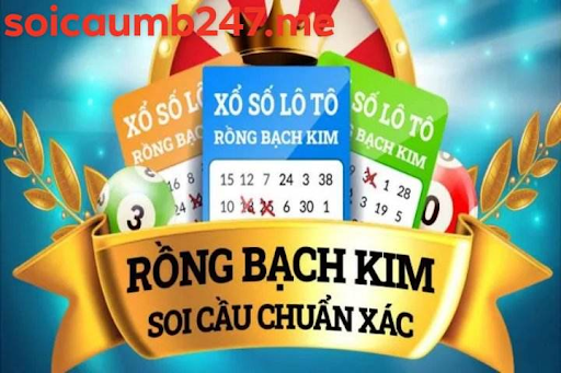 soi cầu rồng bạch kim 666