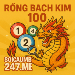 Lô top rồng bạch kim chính xác 100
