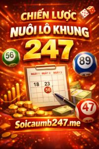 Chiến lược nuôi lô khung 247