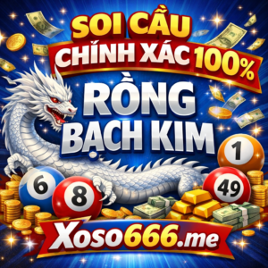 Soi cầu chính xác 100 rồng bạch kim